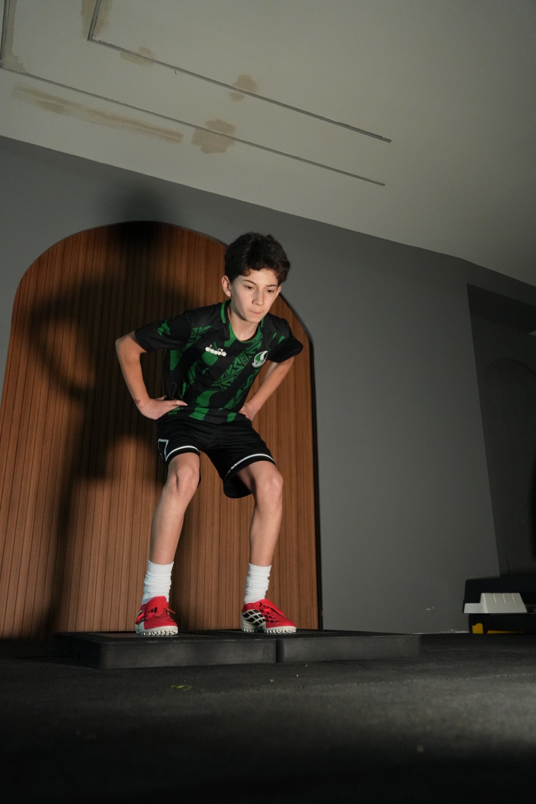 APFC performans test degerlendirme asamasi